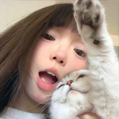 两个火枪鼠 海报