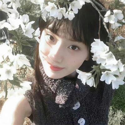 阴守忍者 海报